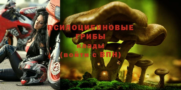 первитин Новодвинск
