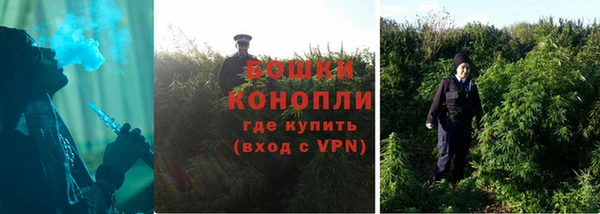 первитин Новодвинск