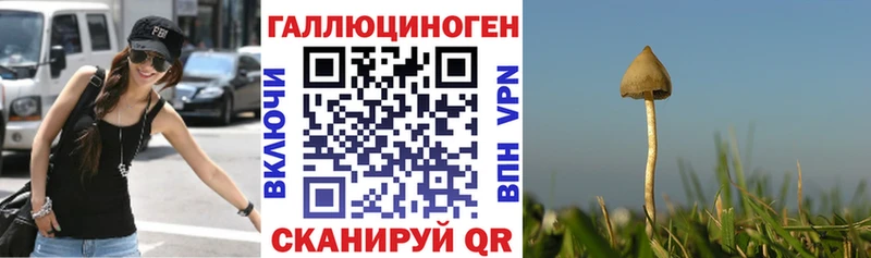 Галлюциногенные грибы Cubensis  KRAKEN как войти  Юрьев-Польский 